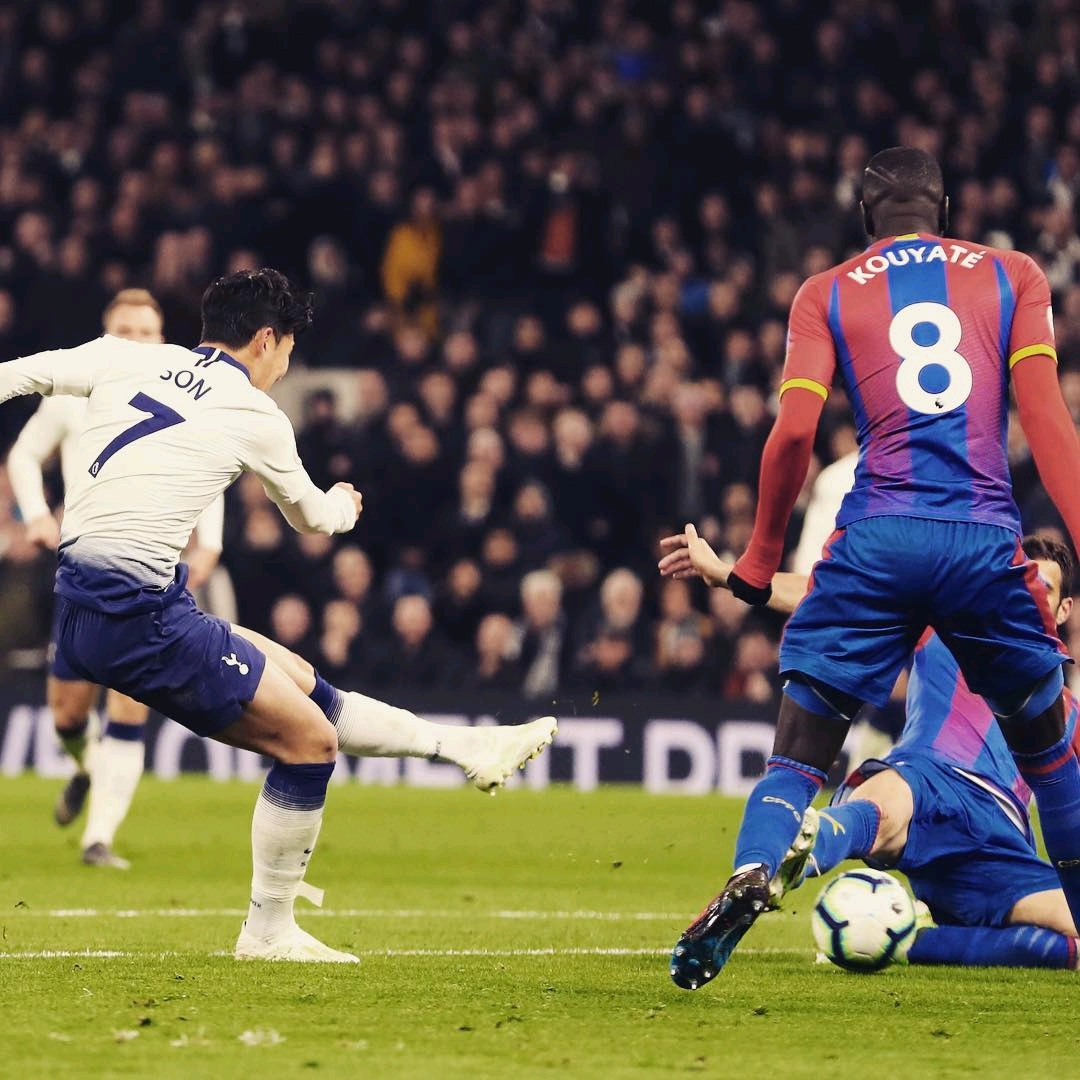 他們期待奧 他們期待奧